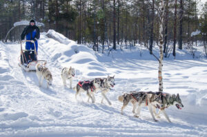 Saija Lodge Finnland Lappland Huskytour