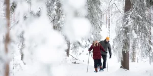 Skilanglauf-Finnland-Nordkarelien