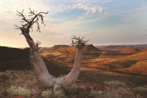 Entdeckungsreise Namibia