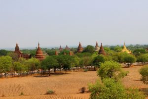 Bagan_Pagodenfeld-2