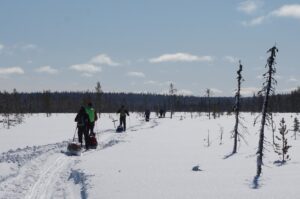 Langlauf Ski Finnland Lappland