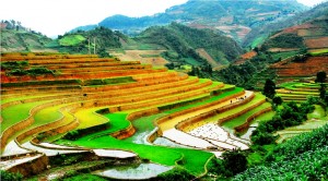vietnam