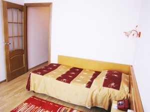 DZ_Standard_Brest_intourist2