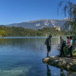 Insel Bled Slowenien mit Schloss