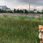 Tschernobyl