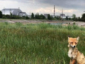 Tschernobyl