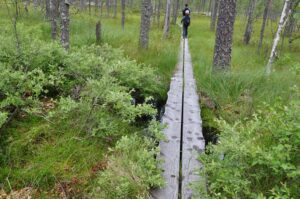 Wanderung Karhunpolku Eräkeskus Wilderness Lodge