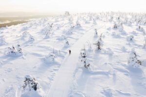 Salla, Finnland, Go East Reisen