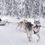 Ruka Aktivwoche Winterreise Go East Reisen