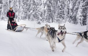 Ruka Aktivwoche Winterreise Go East Reisen