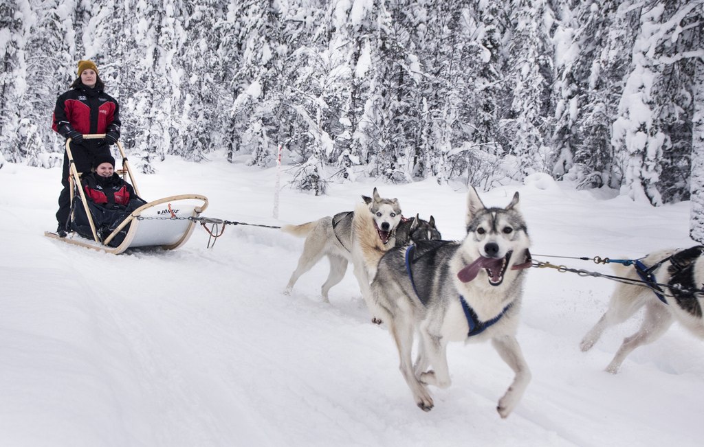 Ruka Aktivwoche Winterreise Go East Reisen