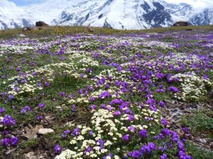 Kirgistan Pamir Gebirge