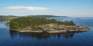 Bild zeigt Insel, Wasser, Wald