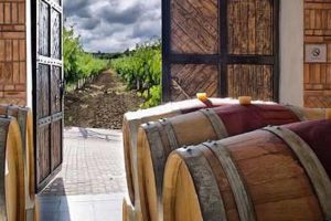 Moldawien Weintour