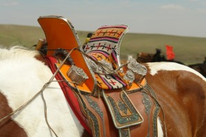 Reiten in der Mongolei