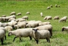 Lettland Familienreise