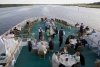 Barbeque an Bord MS Volga Dream