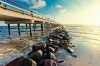 palanga
