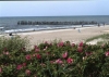 sandstrand-in-nida