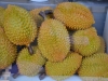 Stinkfrucht