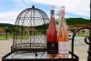 Bulgarien Weinfest Augustiada