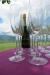 Bulgarien Weinfest Augustiada