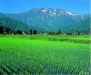 Japan (Copyright jtn)