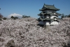Japan (Copyright jtn)