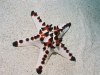 Lisselung Resort Papua-Neuguinea