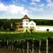 chateau-purcari-winery_03, Moldawien, Kulinarisch, Go East Reisen