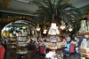 Russland St. Petersburg Go East Reisen