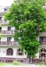 Hotel Baltische Krone, Zelenograd, Kaliningrad, Russland