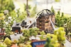 grand_maket_petersburg (22)