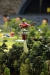 grand_maket_petersburg (23)