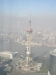 Shanghai Go East Reisen
