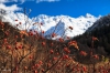 Sotchi Berge Solis Hotel