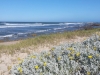 Port Elizabeth Beach