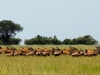 Mara_blog_4_17_4