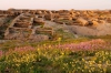 archaeologische_reise_usbekistan (4).jpg