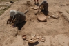 archaeologische_reise_usbekistan (8).jpg