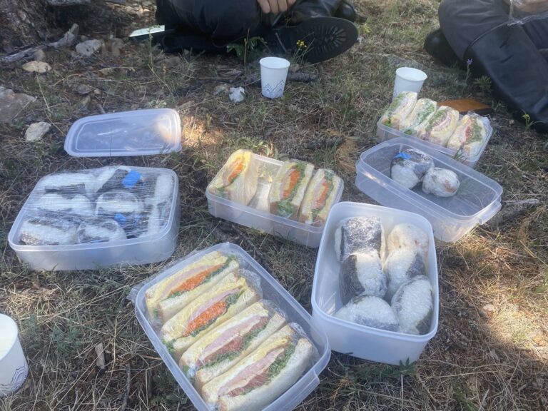 Das Bild zeigt eine Picknickmahlzeit während einer Reitreise Mongolei. Mehrere Kunststoffdosen mit typischen Mahlzeiten