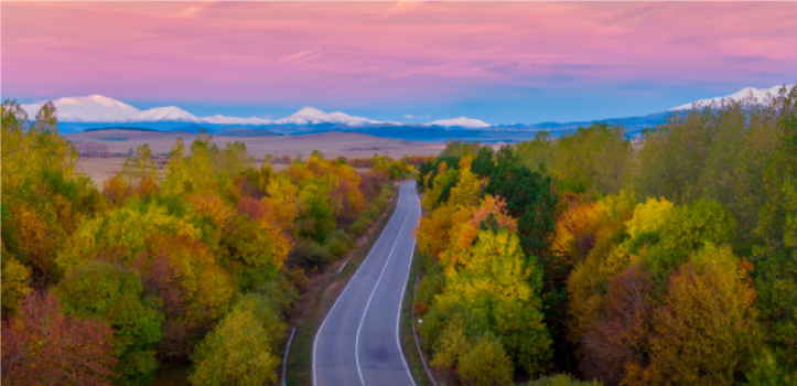 Bild zeigt Straße im Abendrot, die durch einen Herbstwald in Georgien führt
