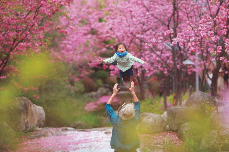 Bild zeigt Kirschblüte in Südkorea mit Vater und Kind die den Frühling geniessen.